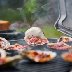 Weber Q3200 Gasgrill -Bon-Fire butik 62501937274 18